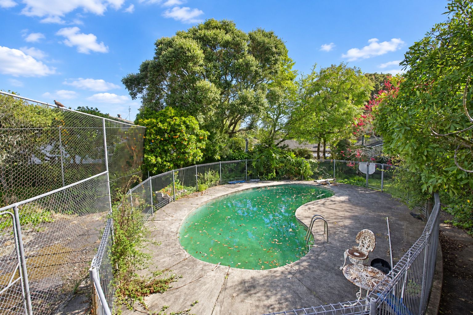 Pool and established grounds — 61 Hill Road, Hill Park, Manukau